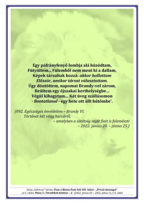 14k__4.1._plusz_3._-_toredekek_kontose_-_2._13.jpg
