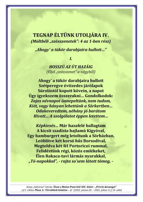 14k__4.1._plusz_3._-_toredekek_kontose_-_2._14.jpg
