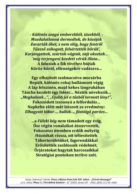 14k__4.1._plusz_3._-_toredekek_kontose_-_2._42.jpg