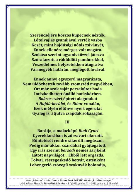 14k__4.2._plusz_3._-_toredekek_kontose_-_2._13.jpg